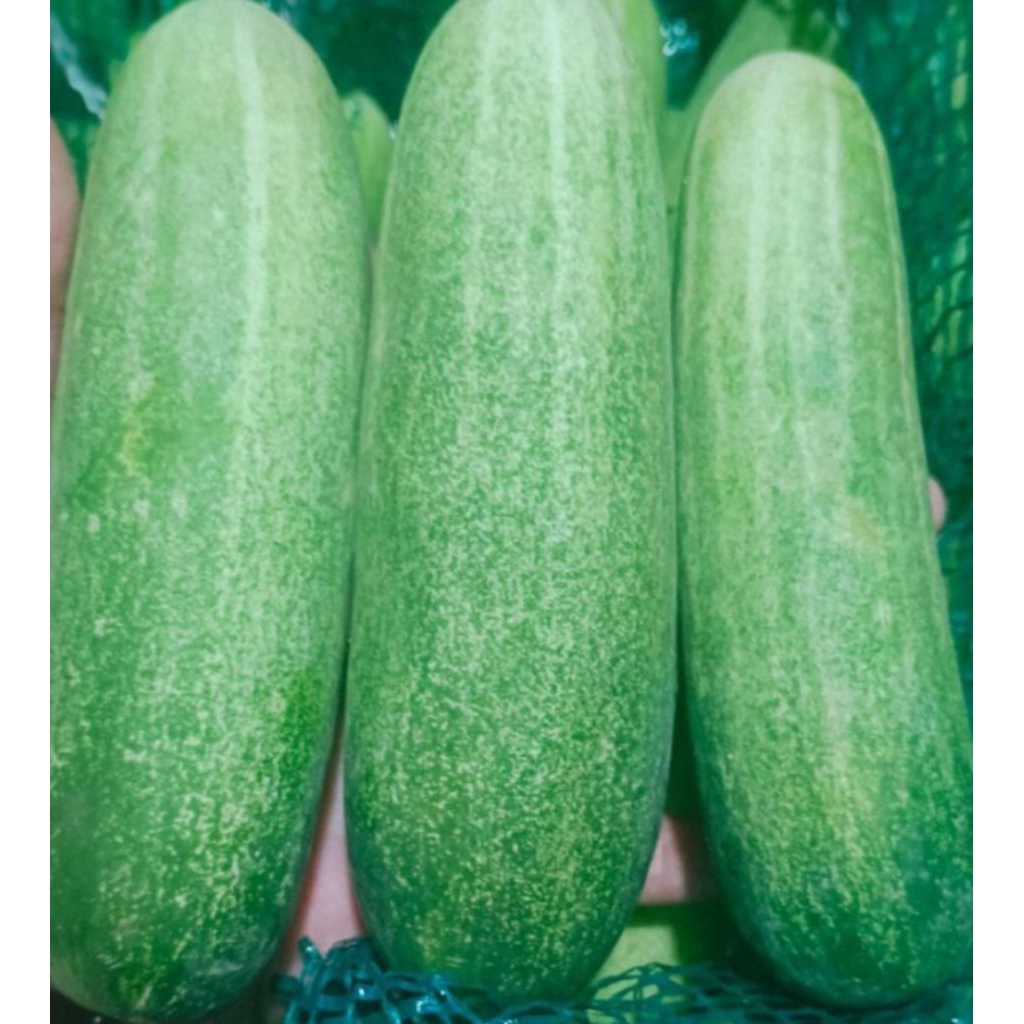 

sayuranan fresh segar mix 3kg