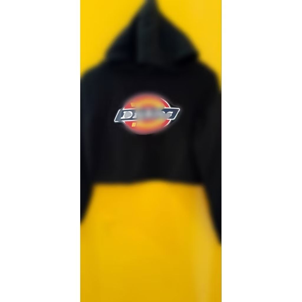 Hoodie Crop Wanita DS Preloved