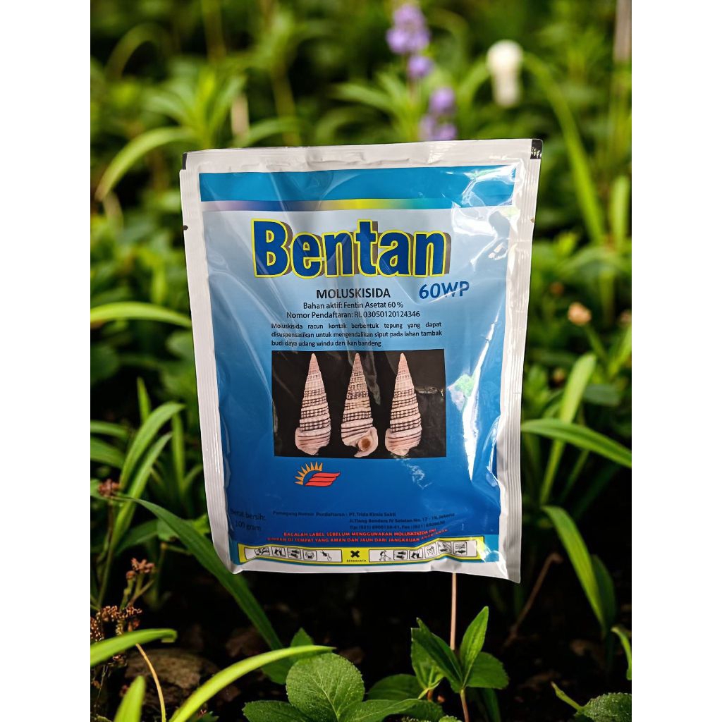Bentan 60WP molukusida pembasmi hama siput