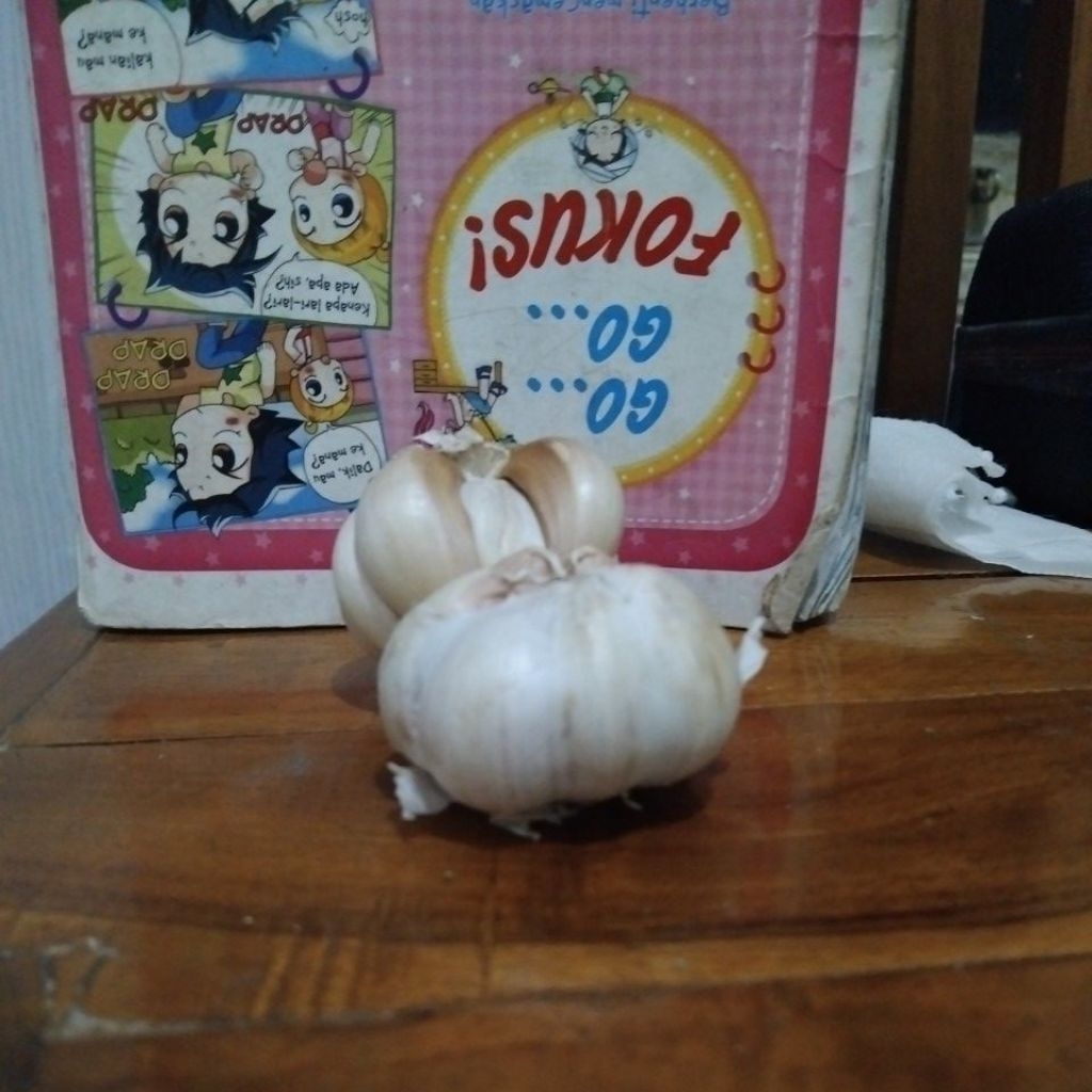

Bawang putih ketengan