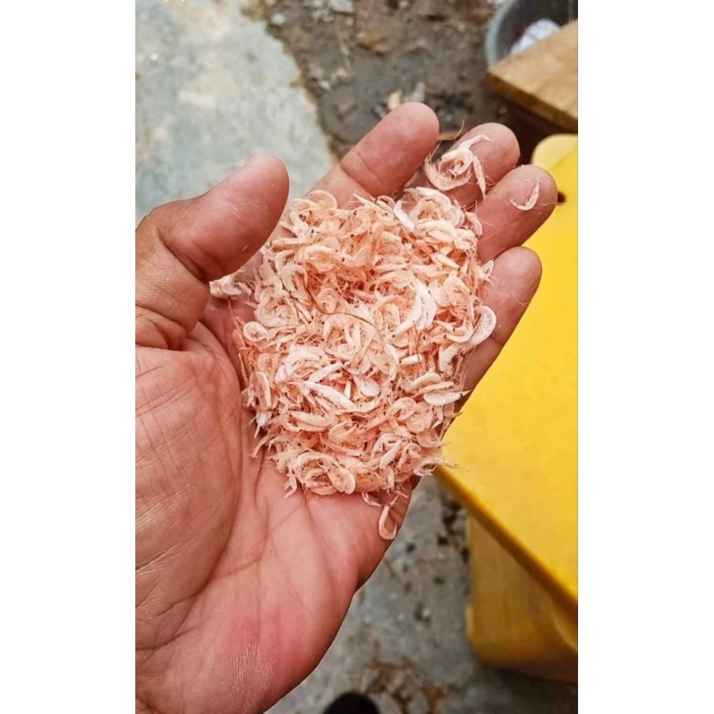 

udang rebon kering premium