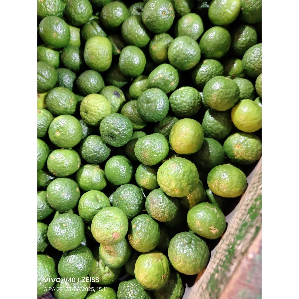 

Jeruk Limo / jeruk limau / jeruk sambal Segar