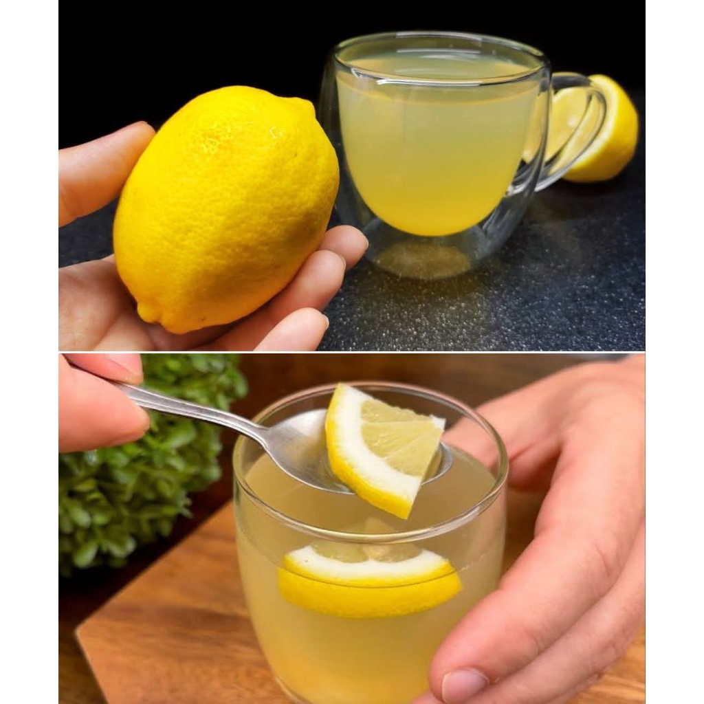 

Buah Lemon fresh 500 gram