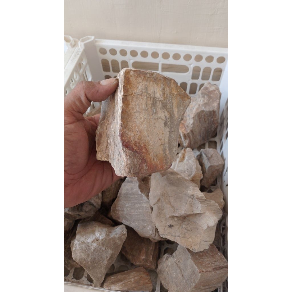 Batu Aquascape fosil kayu