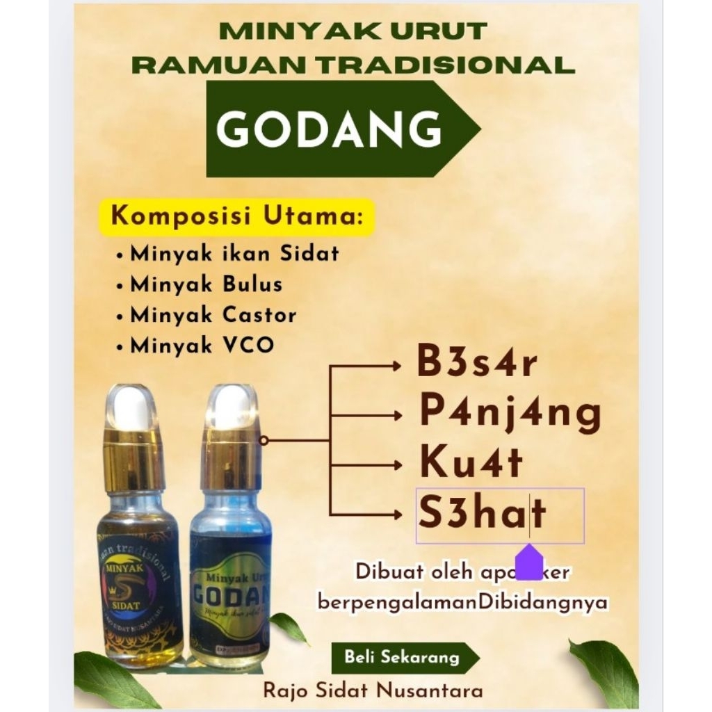 minyak urut pembesar Godang (minyak ikan sidat)