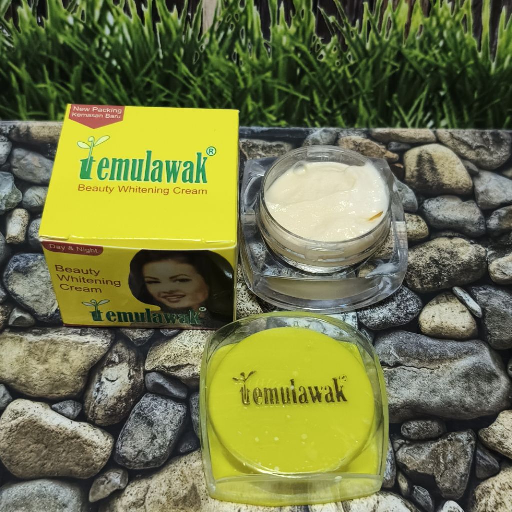 1Pcs // Cream Pelembab Wajah Temulawak Beauty Bisa Buat Siang & Malam Whitening Original