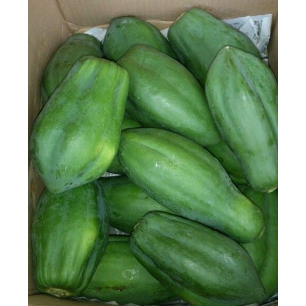 

pepaya muda 1pcs berat 700-900