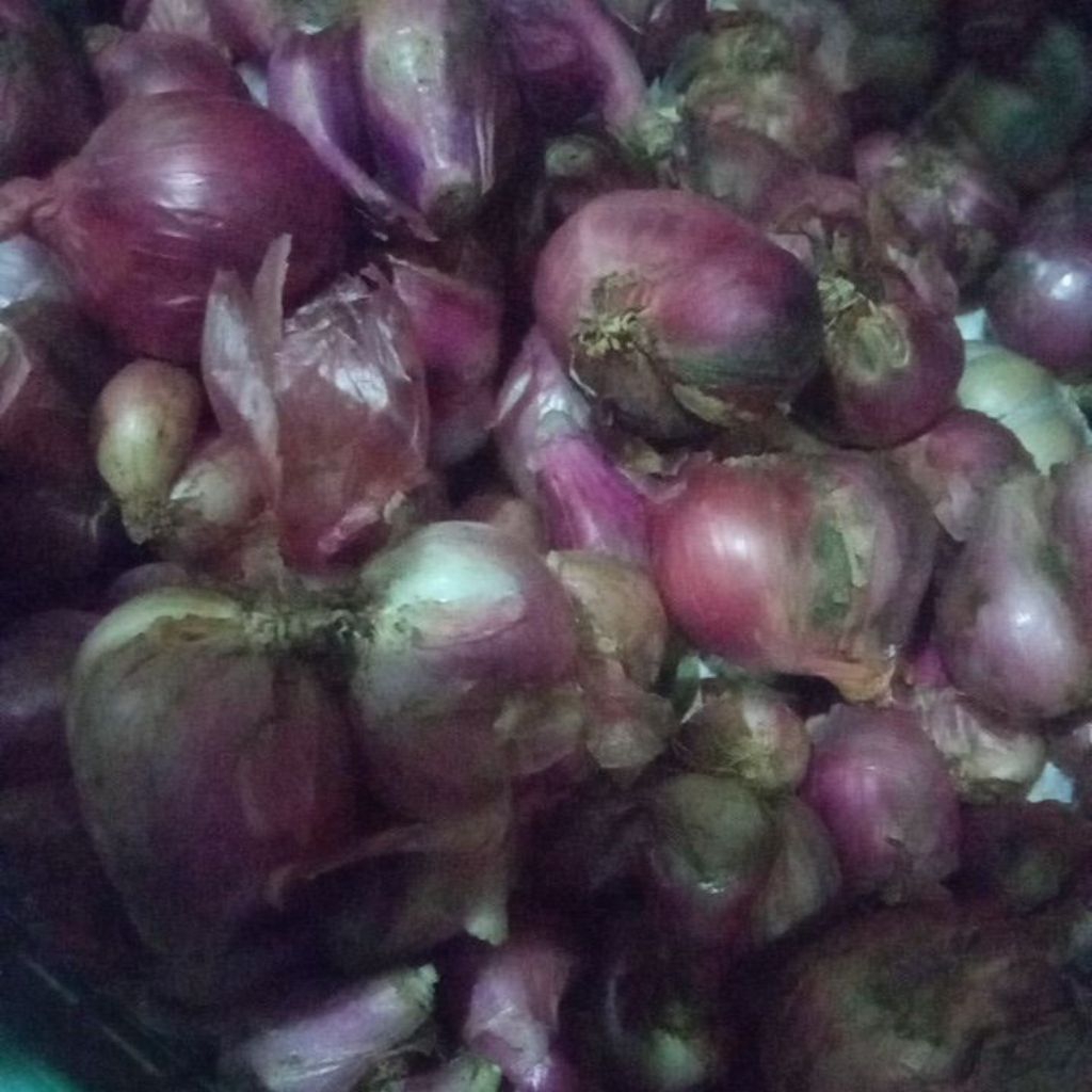 

BAWANG MERAH