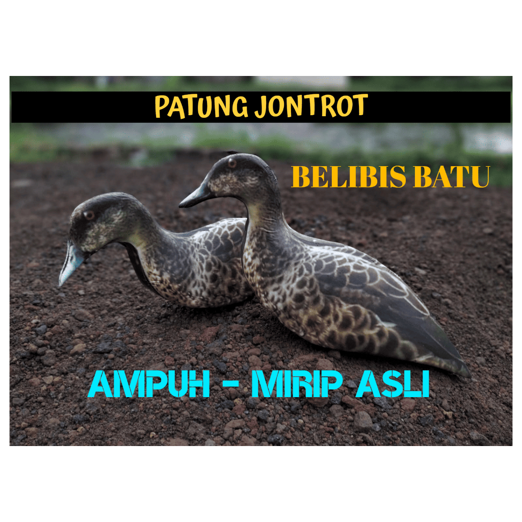 PATUNG JONTROT BURUNG BELIBIS BATU - JONTROT BURUNG BELIBIS BATU