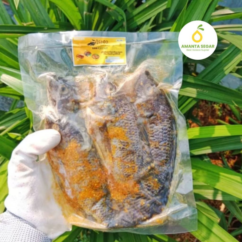 

Ikan Nila Bumbu Kuning Isago Siap Goreng Frozen Bogor Marinasi 450gr isi 3 Ikan Nila