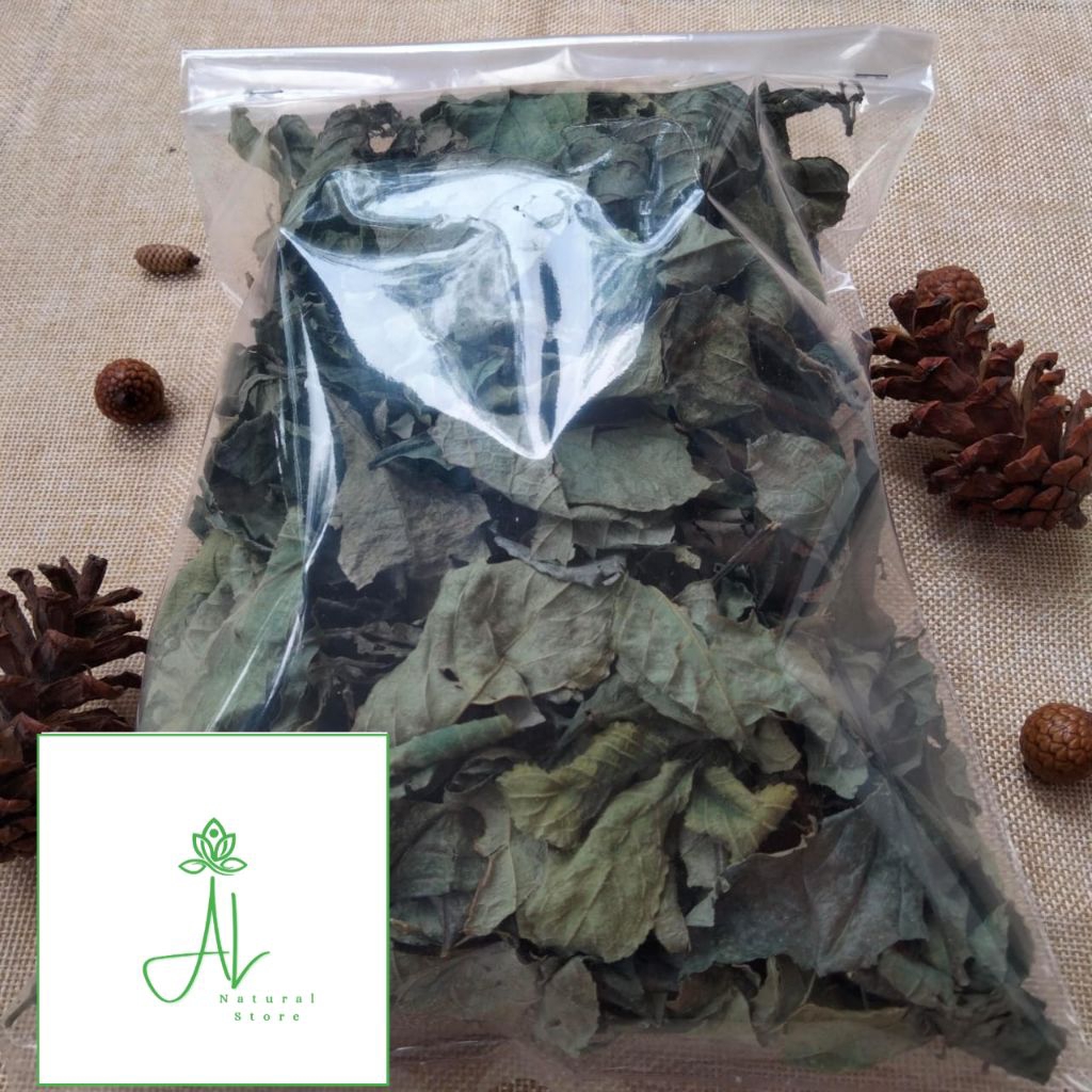 

Daun Keji Beling Kering Isi Per 500 Gram Ready