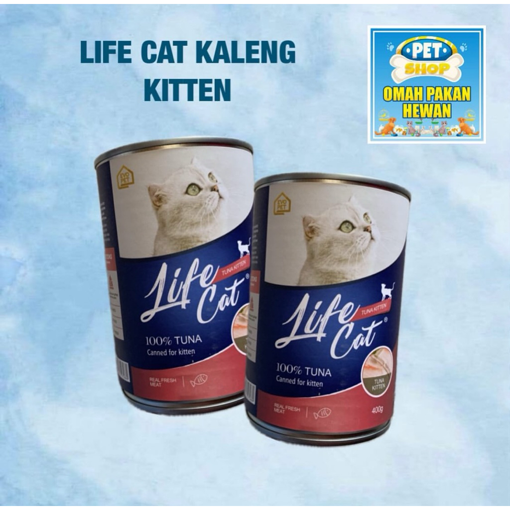 Life Cat Kitten Tuna
