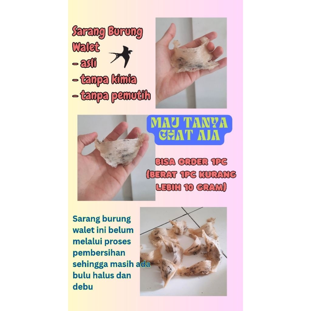 

SARANG BURUNG WALET ASLI ☆☆ BELUM DIBERSIHKAN TANPA PEMUTIH TANPA PENGAWET ☆☆ BISA ORDER 1 PC / 10 GRAM LEBIH