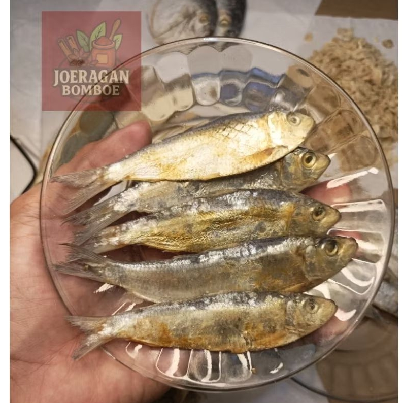 

IKAN ASIN TEMBANG SISIK gratis ongkir Bisa COD