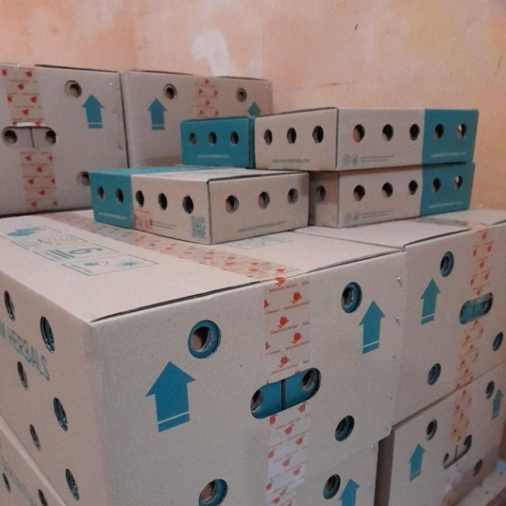 

Telur Sekuntum Herbals 15 Butir