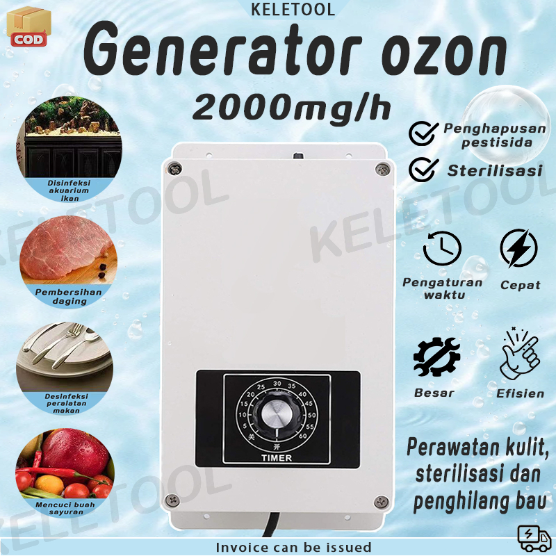 220V 2000mg Ozon Generator Pemurni Air Steriliser o3 Ozon Tabung Sterilizer ozonizer portable