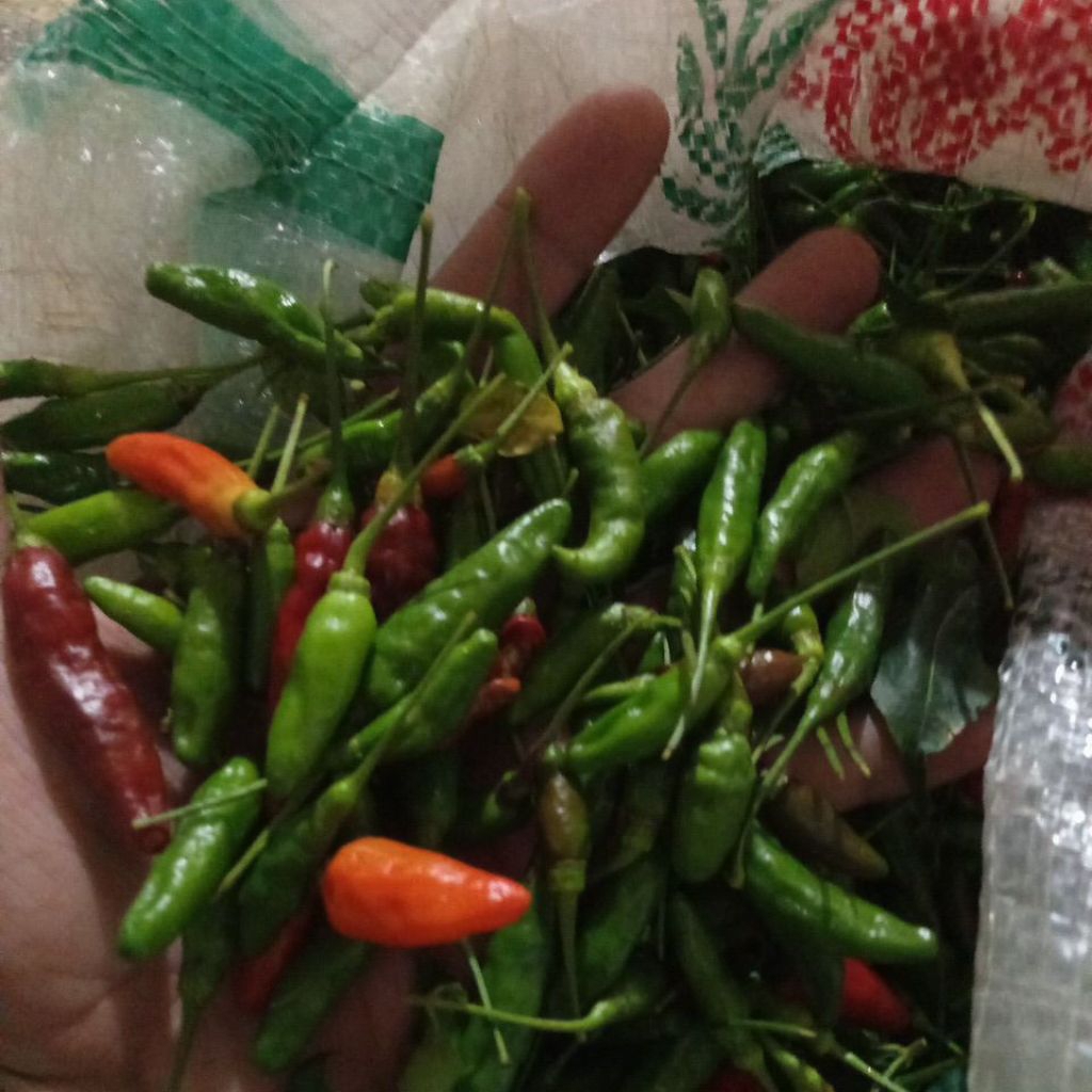 

cabe rawit super ORI 1kg