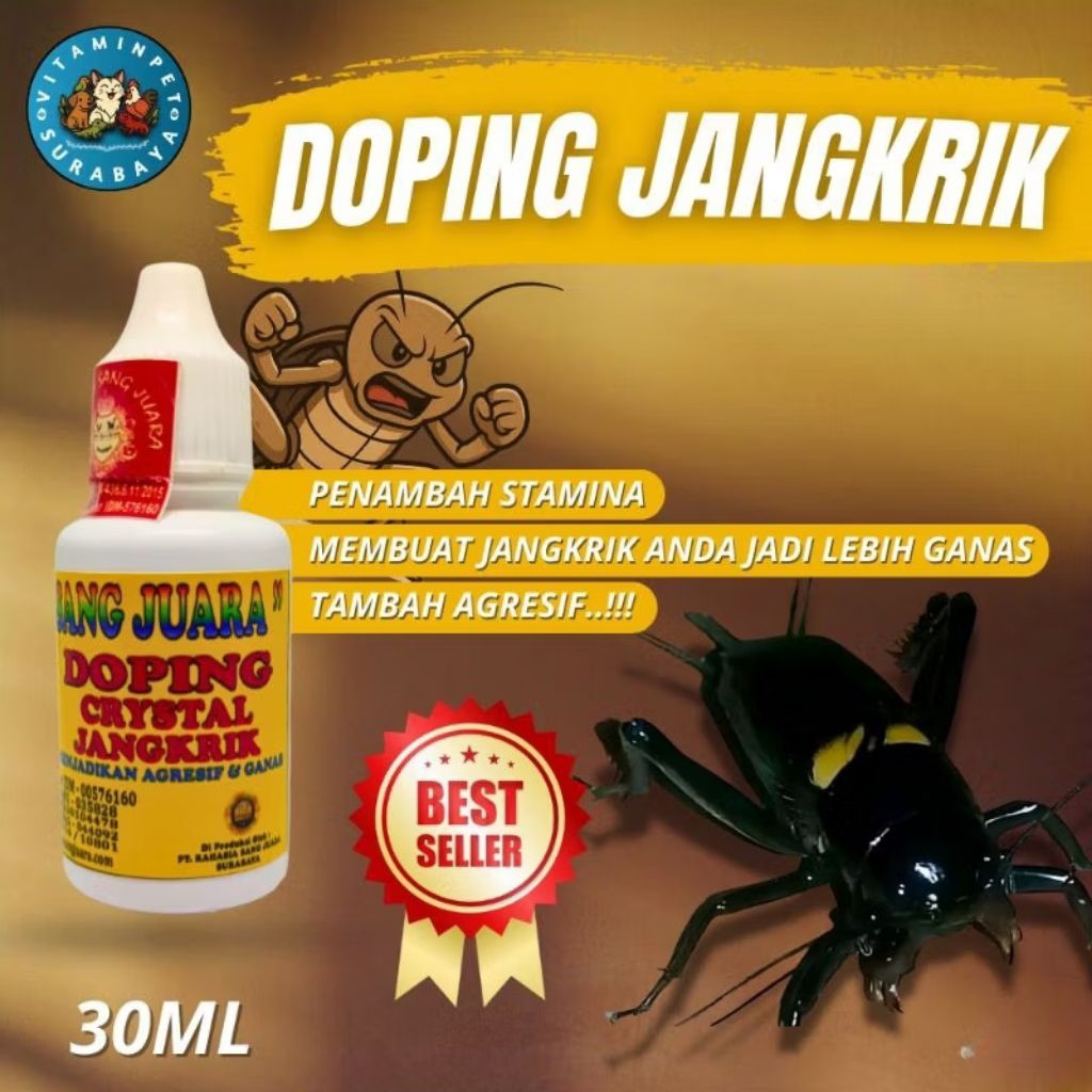 Doping jangkrik aduan 30ml - rahasia sang juara
