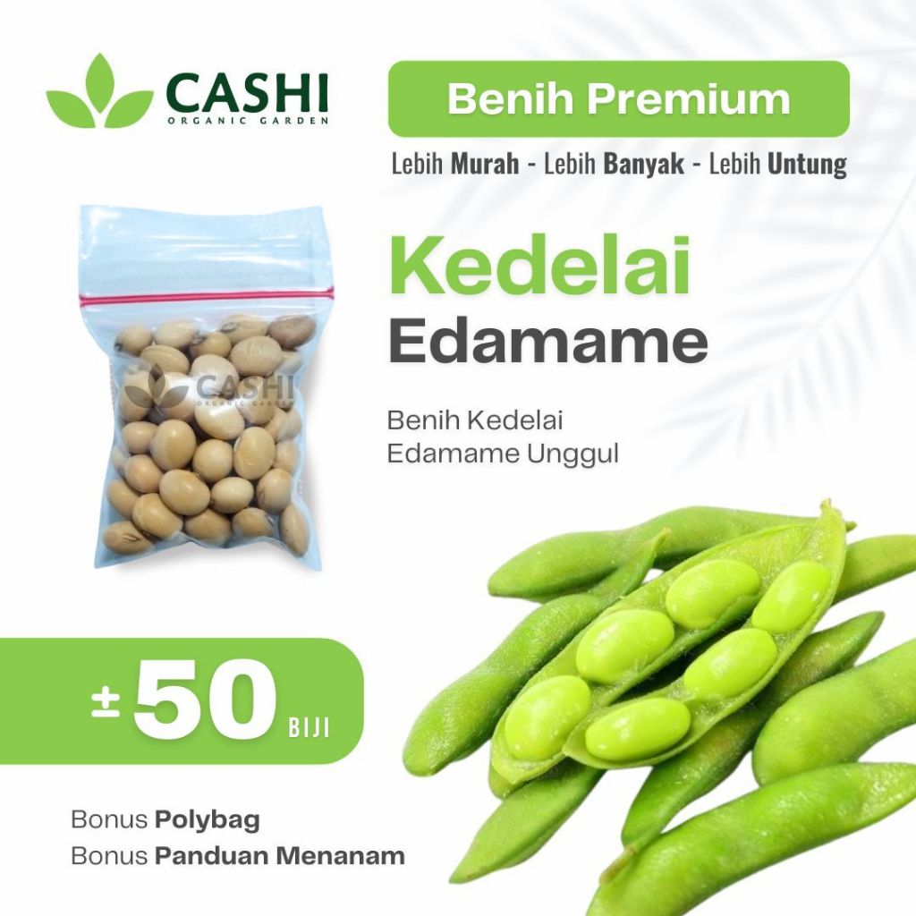 Benih Kedelai Edamame 50+ Biji Bibit Kacang Edamame Super