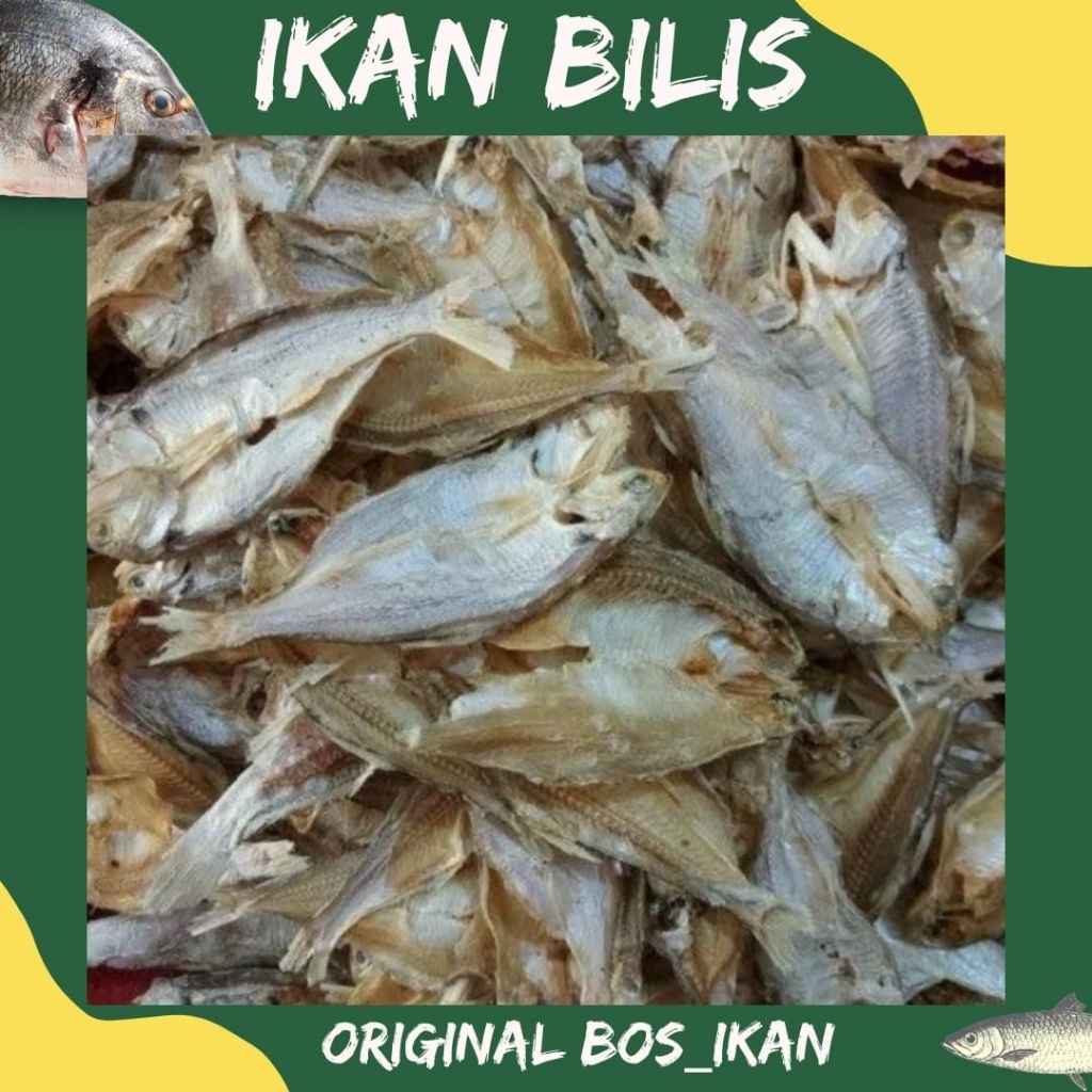 

IKAN BILIS 1KG KWALITAS PREMIUM ORIGINAL BOS IKAN