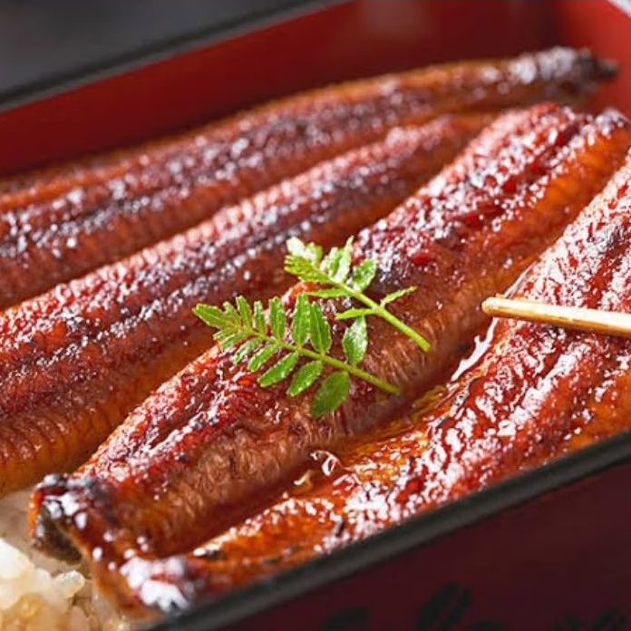 Fillet ikan sidat fresh | unagi hiraki 100-200 gram