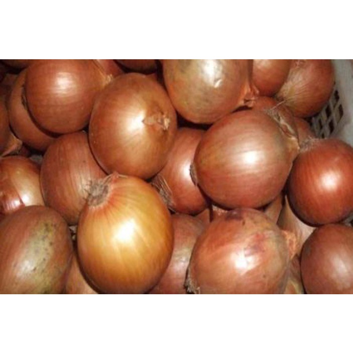 

Bawang Bombay 1 Kg - Ukuran Campur | Segar