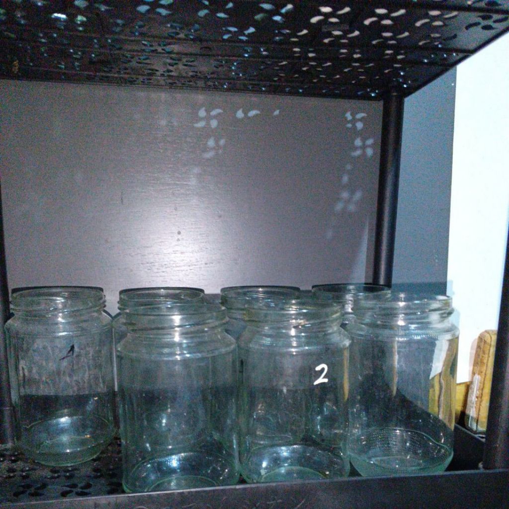 Gelas Kaca Aquarium Mini