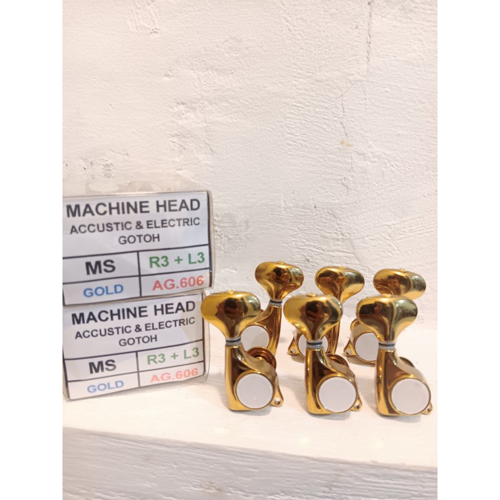 Dryer Gotoh Style 3r3l Gitar Akustik Dan Elektrik Set Gold