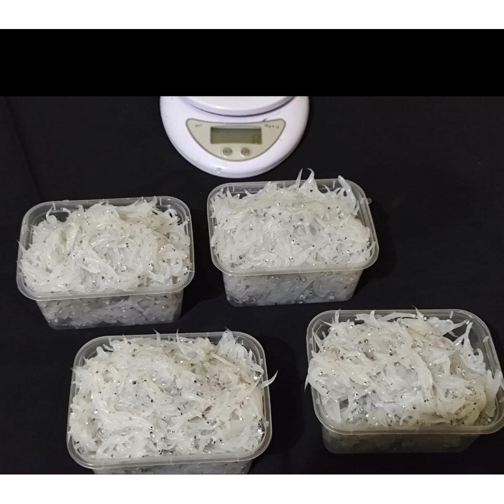 

Teri nasi mp asi bergizi tanpa pengawet 250g