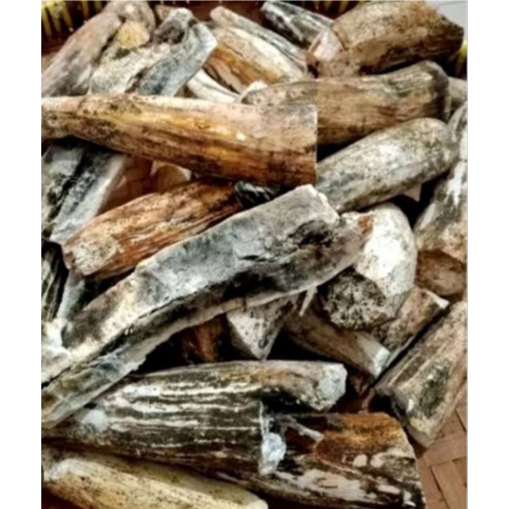 

Forcysn Jual Gatot Singkong Kuwalitas Bagus Almi Tanpa Bahan Pengawet 1 Kg