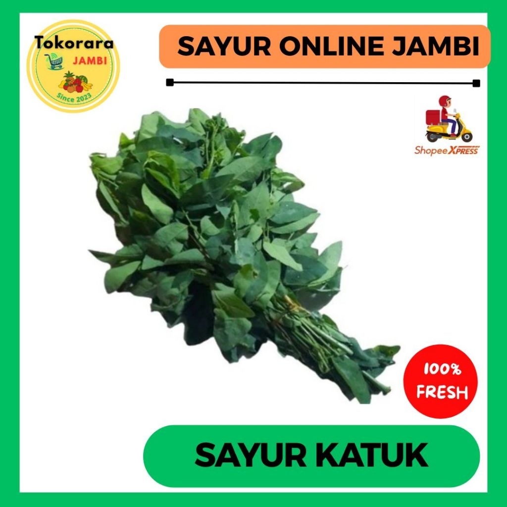 

KIRIM INSTAN Sayur Daun Katuk / ikat-tokorara.jambi