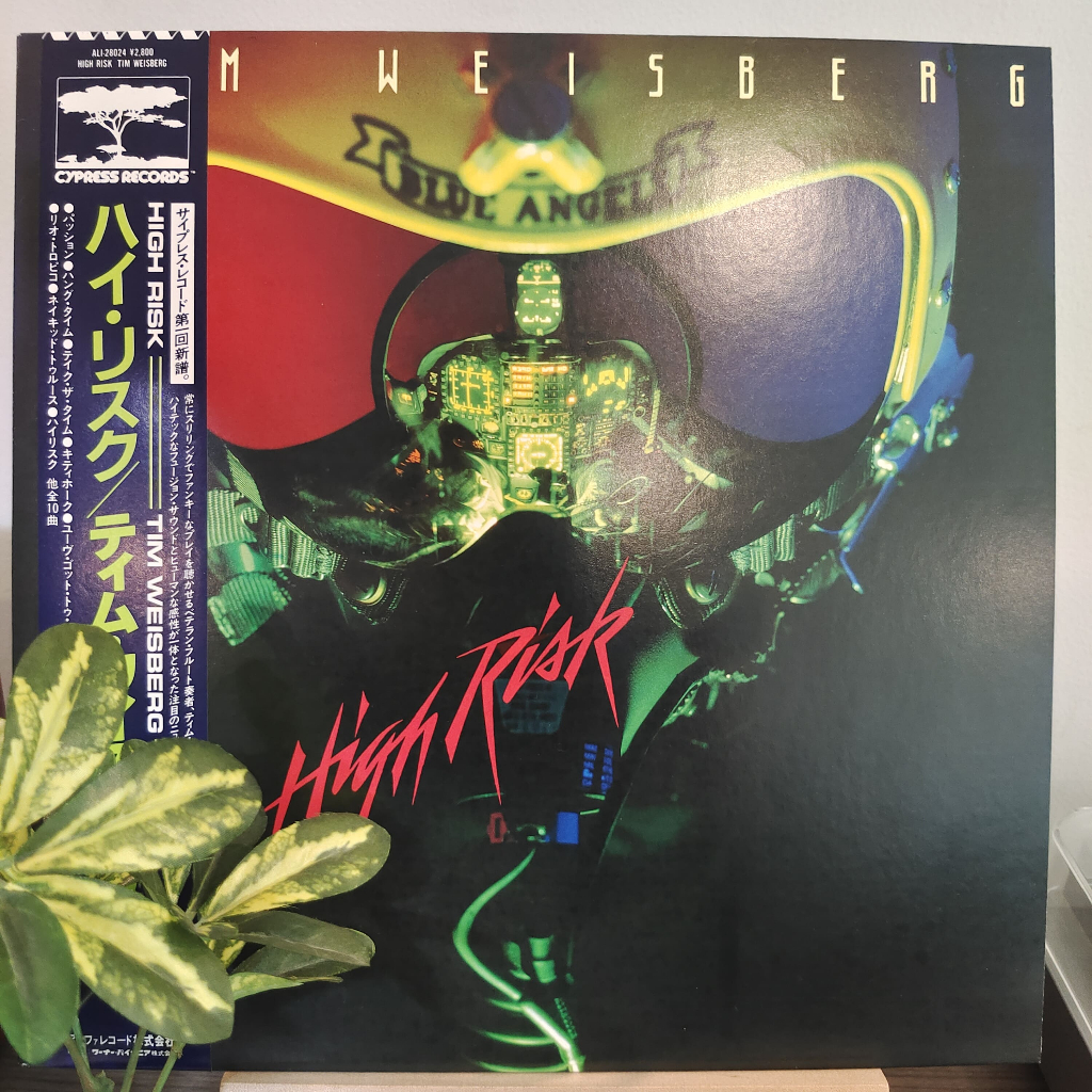 Tim Weisberg – High Risk / LP Vinyl / Jazz / Piringan hitam PH