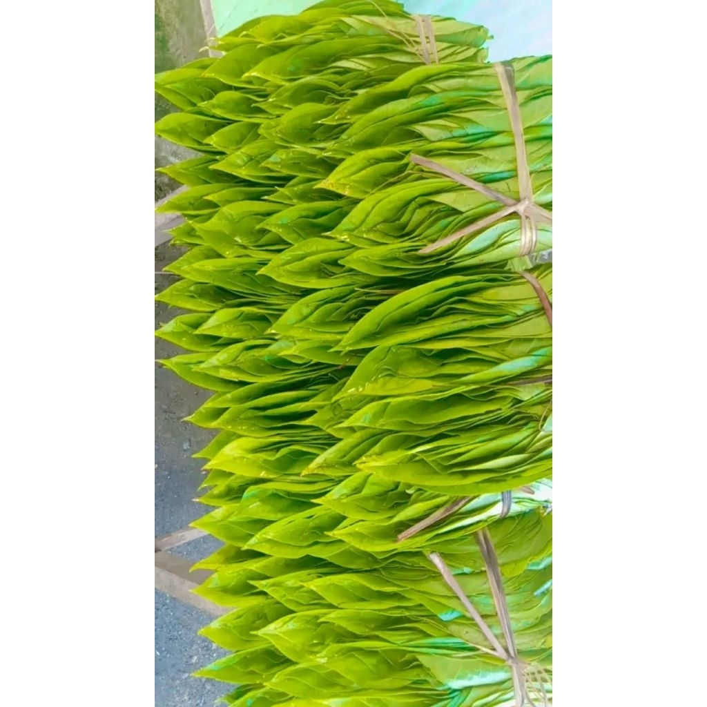 

Kuning pelengkap sirih