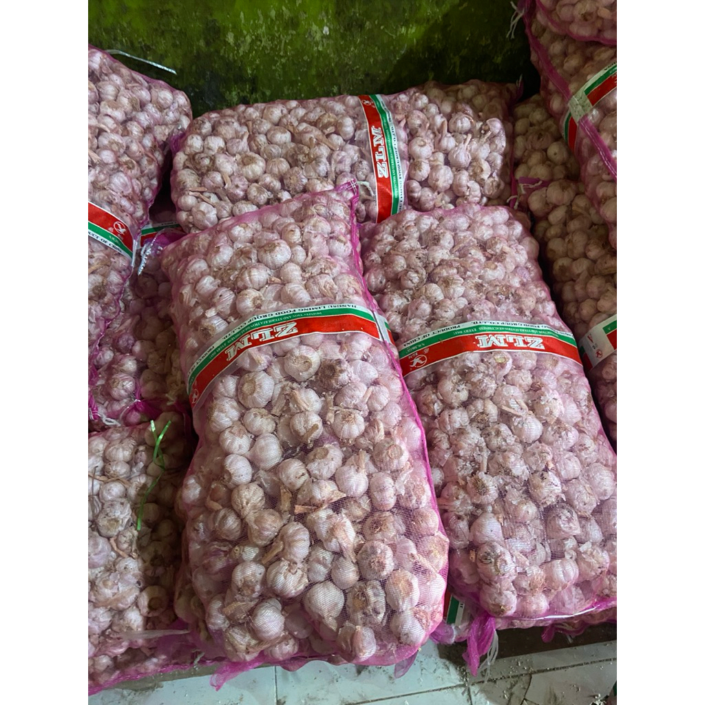 

bawang putih ori sico sincu fresh 250gr 500gr 1kg