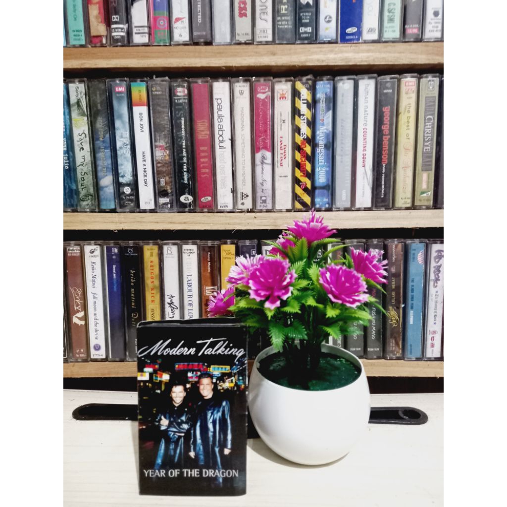 KASET MODERN TALKING YEAR OF THE DRAGON