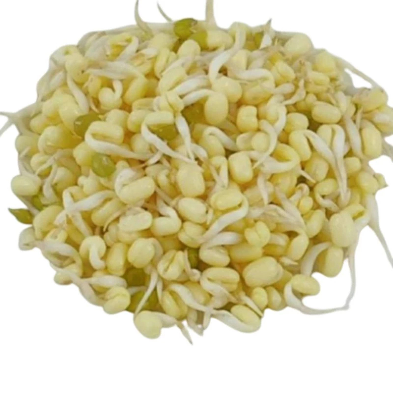 

Toge Rawon Toge Kecil 200gr