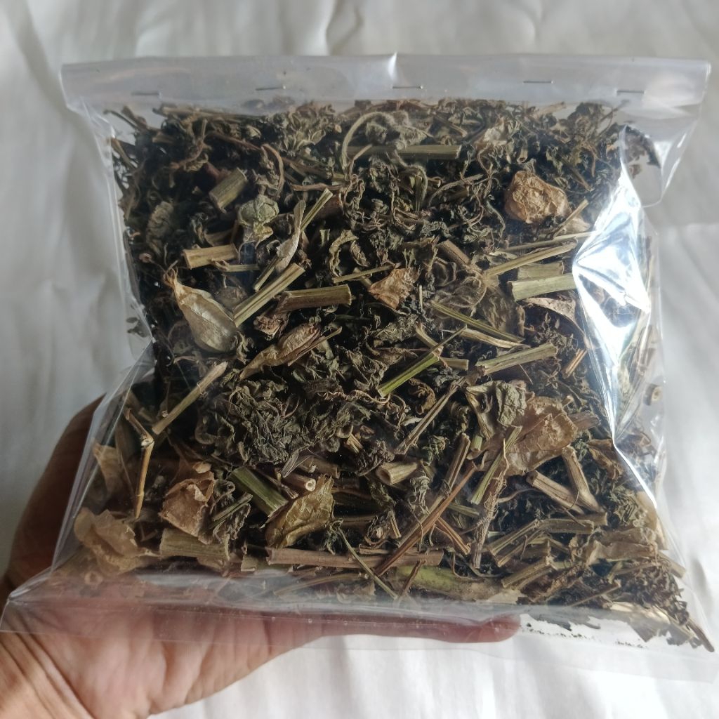 

Daun Ciplukan Kering Per 100 Gram