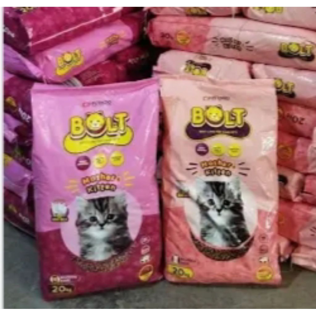 Bold kitten & mother 20kg