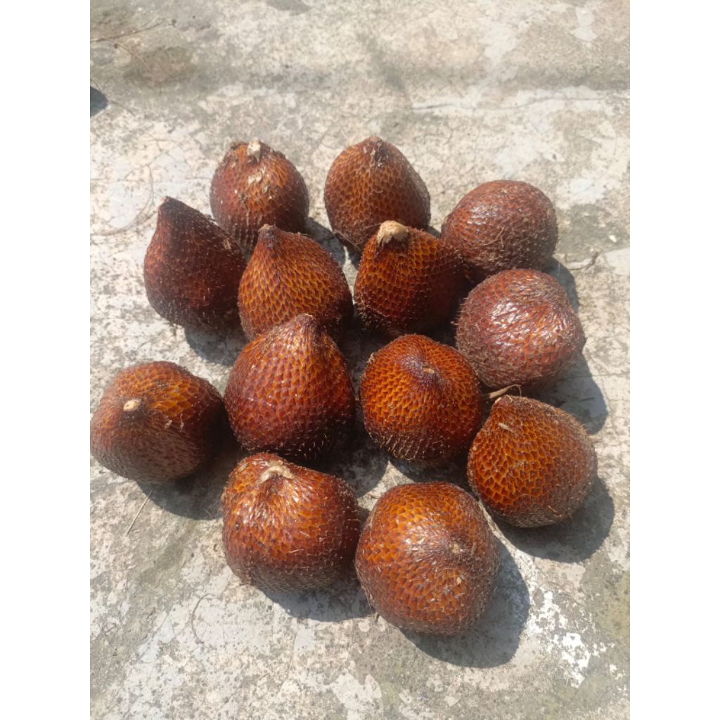 

Buah salak,salak pondoh