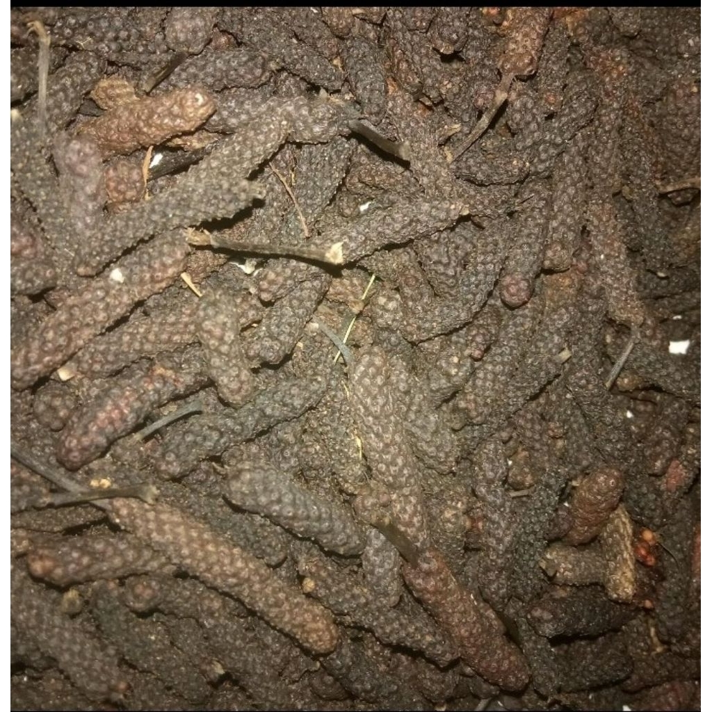 

cabe jamu / cabe Puyang / cabe Jawa kering berkualitas 100 g