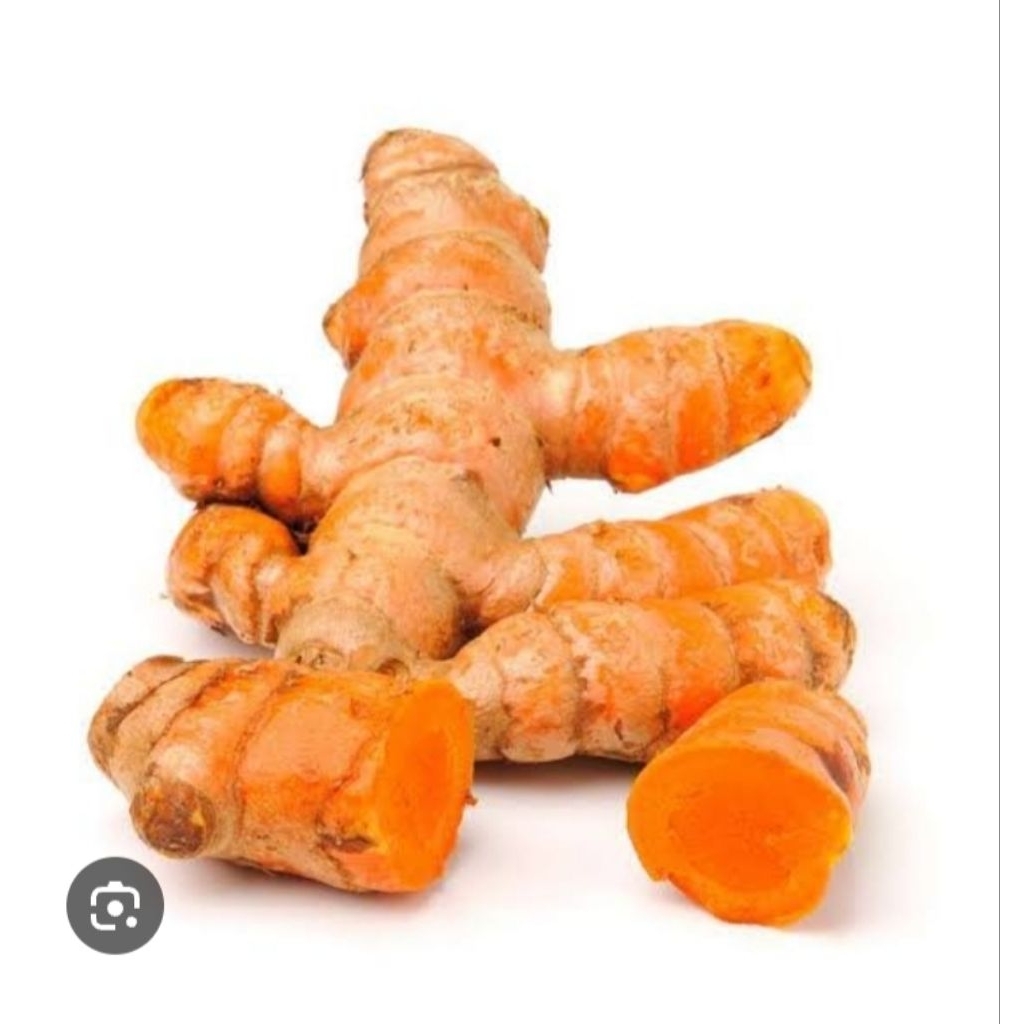 

1kg kunyit segar
