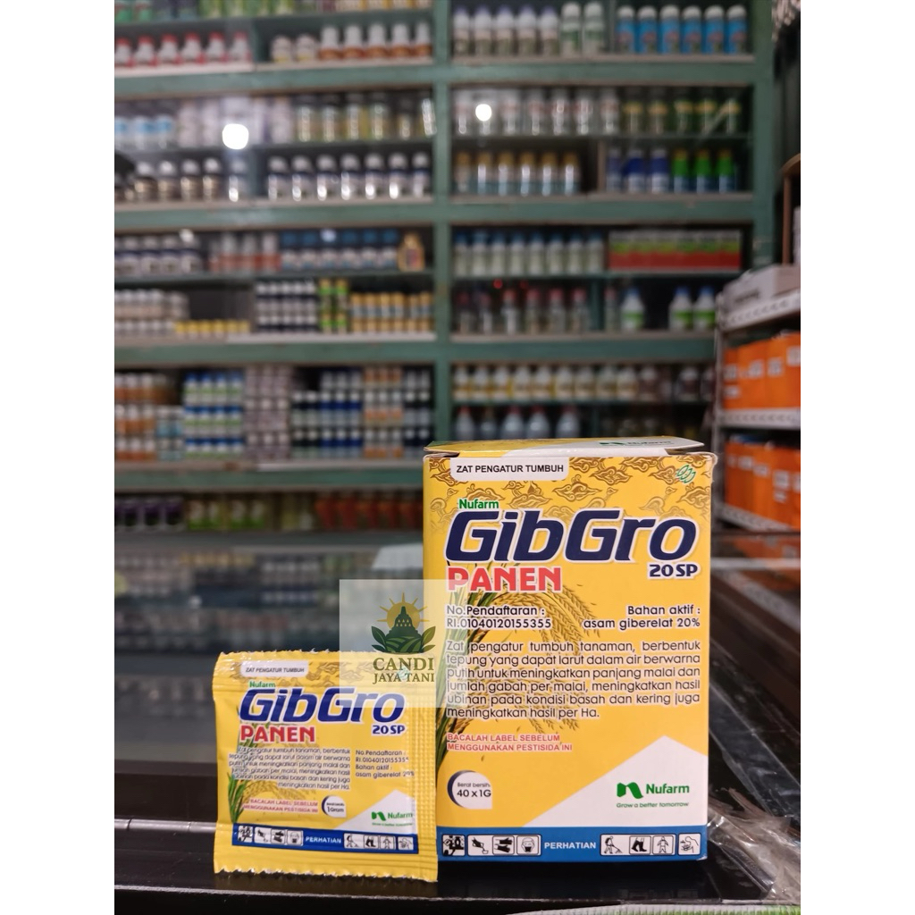 Gibgro 20SP Panen ZPT Asli Nufarm | Perangsang Malai & Gabah Padi 1g