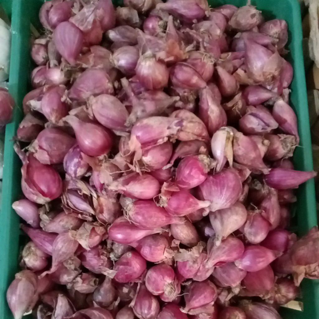 

BAWANG MERAH KILOAN MURAH
