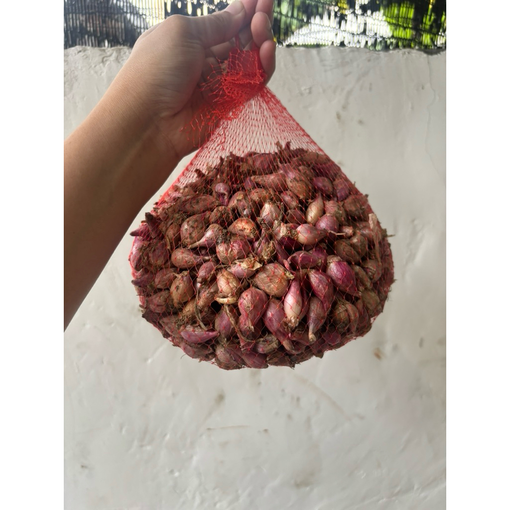 

BAWANG MERAH (Gerusan) 1KG PAS
