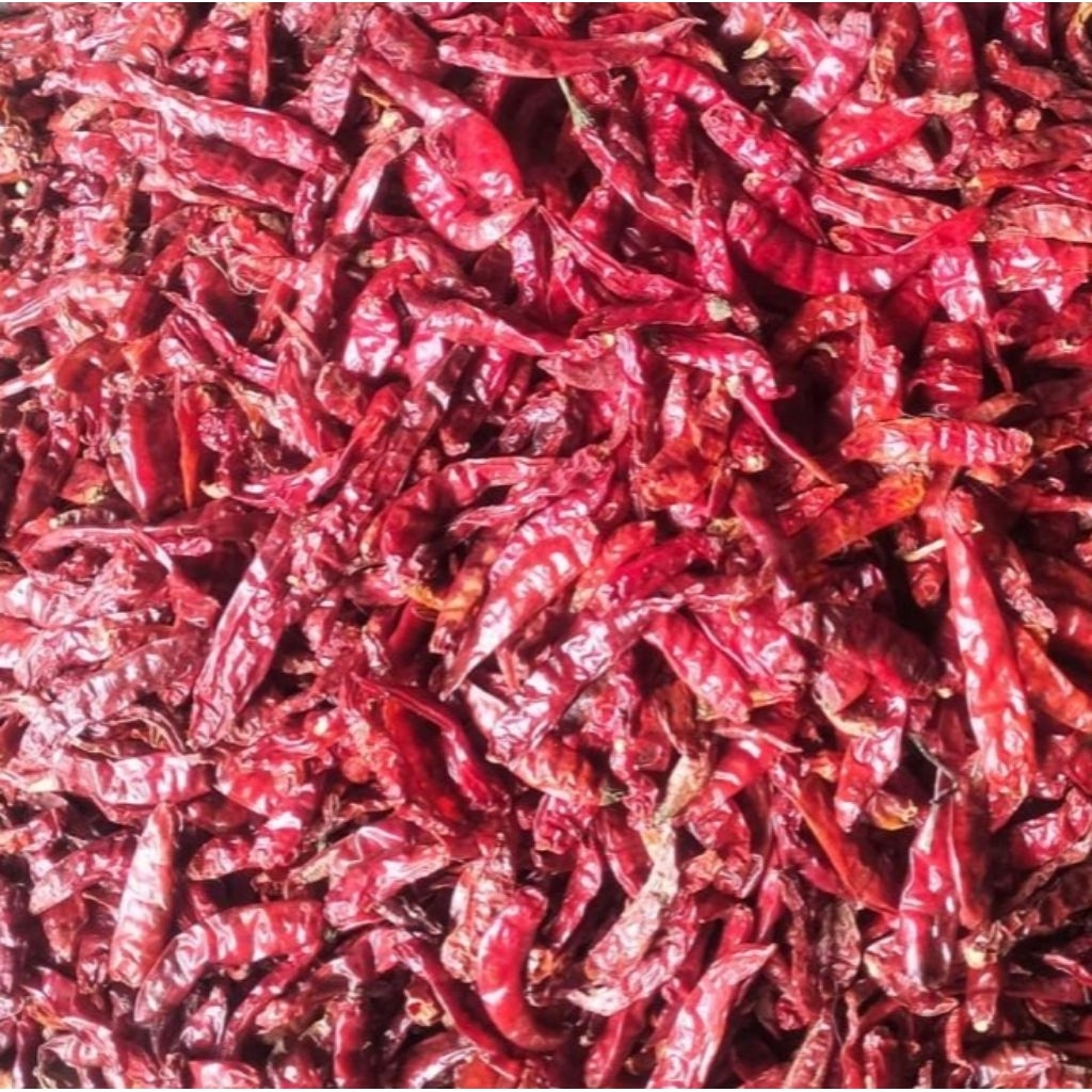 

CABE KERING TEJA IMPORT SUPER PEDAS HARGA LANGSUNG GUDANG