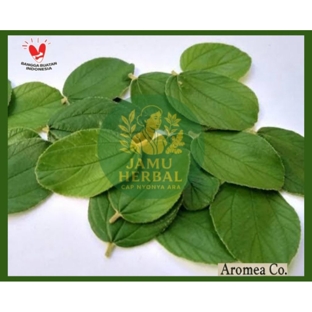 

Daun tanaman Bidara arab segar asli (100 lembar) TERMURAH - Herbal by Aromea