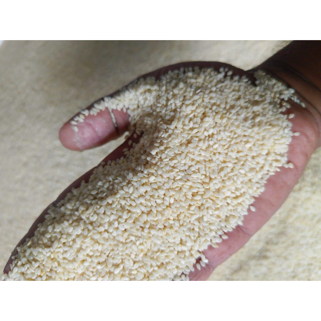 

Wijen Putih Premium 31ribu/kg