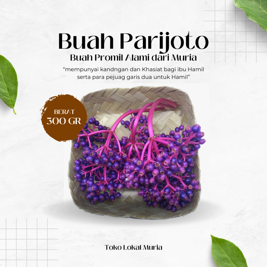 

Buah Parijoto Segar Asli dari Gunung Muria 300gr– Herbal Alami untuk Kesuburan & Kesehatan