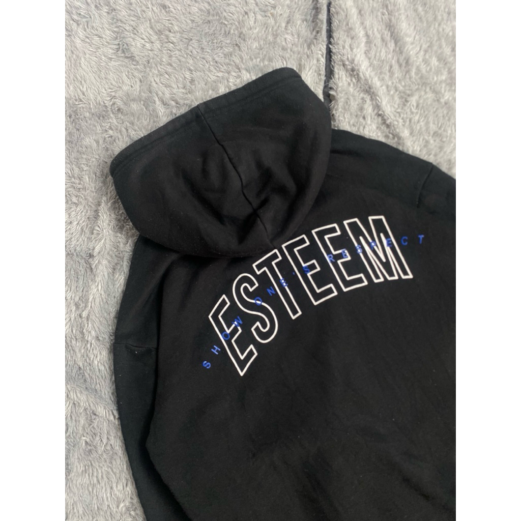 Hoodie ESTEEM
