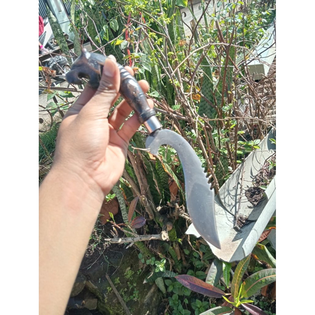 KUJANG BESI/ KUJANG SUNDA